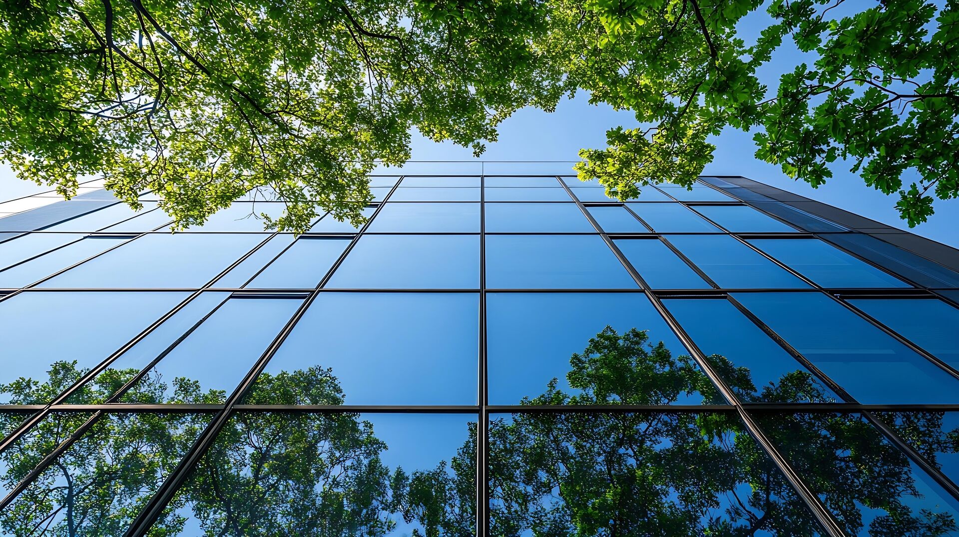 VNAB jaarplan duurzaamheid | 2025 - 2026